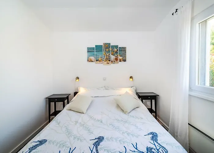 Apartamento Vitez's House Novigrad/knight's House Novigrad *
