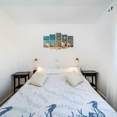 Apartman Vitez's House Novigrad/knight's House Novigrad *